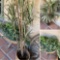 Artificial deco plants. 3 pieces