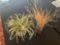 Artificial plant deco. 2 pieces
