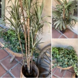 Artificial deco plants. 3 pieces