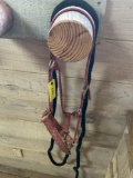 Halter with lead