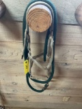 Halter with lead.