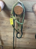 Halter with lead.
