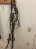 Nylon horse halter with lead. 3 pieces