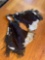 Womens cowhide chaps