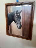 Framed Horse wall art. 13