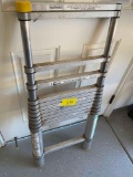 Telescoping ladder