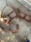 Cow halters 3 pieces
