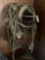 Driving bridles, driving back band, 3 cruppers