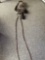 Hitched horsehair bridle with silver concho bit