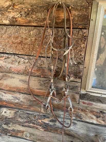 Bridle