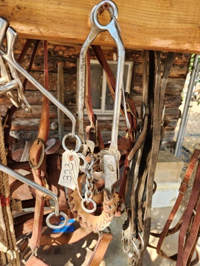 Reins & 3 bits, with Braided Hackamore