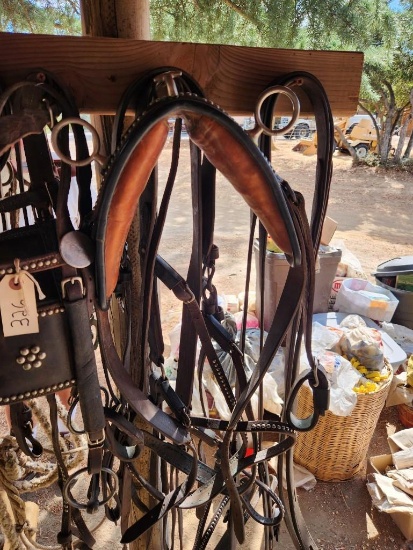 Complete leather driving horse harness, with back band