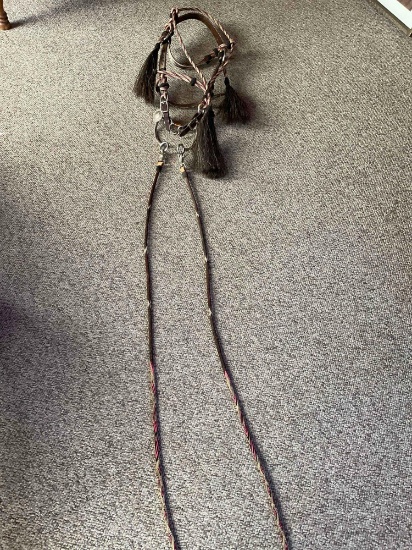 Hitched horsehair bridle with silver concho bit