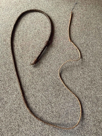 Approximately 10' bull whip