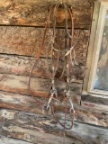 Bridle