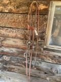 Bridle & reins