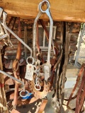Reins & 3 bits, with Braided Hackamore
