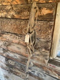 Bridle