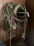 Driving bridles, driving back band, 3 cruppers