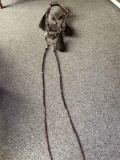 Hitched horsehair bridle with silver concho bit