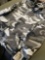 New with tag Rothco M -65 field jacket size small