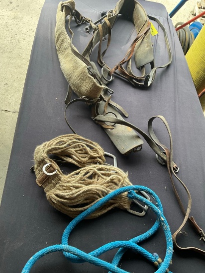 Assorted horse items. Leash with lead, Classic Equine cinch, harness