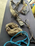 Assorted horse items. Leash with lead, Classic Equine cinch, harness