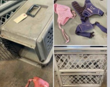 Pet transport unit for medium size dog, leashes, gate.