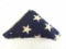 WW1 U.S. Army Camp 48 Star Flag