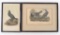 Group of 2 J.J. Audubon Prints Featuring Cormorands