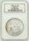 1884-CC Morgan Dollar MS64