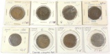 Goup of 8 Coronet Large Cents : various dates