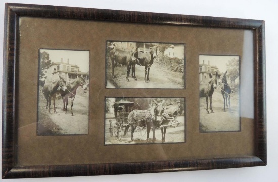 Framed Photo of Horse & Buggy circa 1910