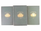 1873-1881 geological survey of Michigan three volumes