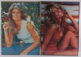 Group of 2 Farrah Fawcett Posters...