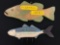 Lot of two Fish decor and rack