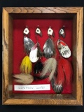 Case with five bucktail marathon Lures