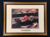 Framed print of collection of fishing flies