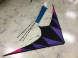 Kite with bag and extra poles