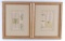 Group of 2 Antique Middle East Hand Drawn Book Pages