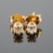 14k Yellow Gold Diamond Stud Earrings