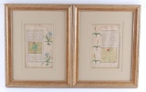 Group of 2 Antique Middle East Hand Drawn Book Pages
