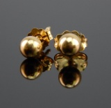 14k Polished Yellow Gold Studs