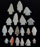 Collection of 19 Arrowheads from LaSalle County, Illinois