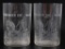 Group of 2 Antique Remember the Maine! Glass Tumblers