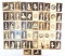 Group of 52 CDV Photographs