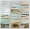 Group of 250 Yellowstone Postcards