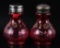 Pair of Antique Cranberry Glass Salt and Pepper Shakers with Floral and Gilt Scrollwork Enamel