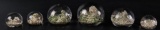 Group of 6 : Antique Baccarat Sand Dunes Paperweights
