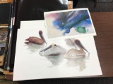 Collection of Pelican Prints and Graphic Overlays